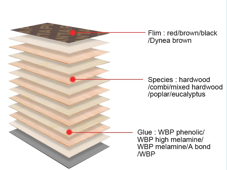 影響建筑模板生產質量的五大因素是什么? 影響建筑模板生產質量的五大因素是什么?